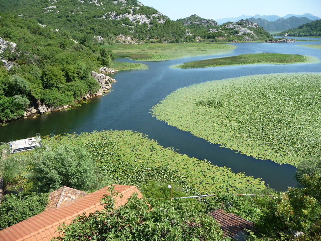 Studios Peric Sveti Stefan Værelse billede